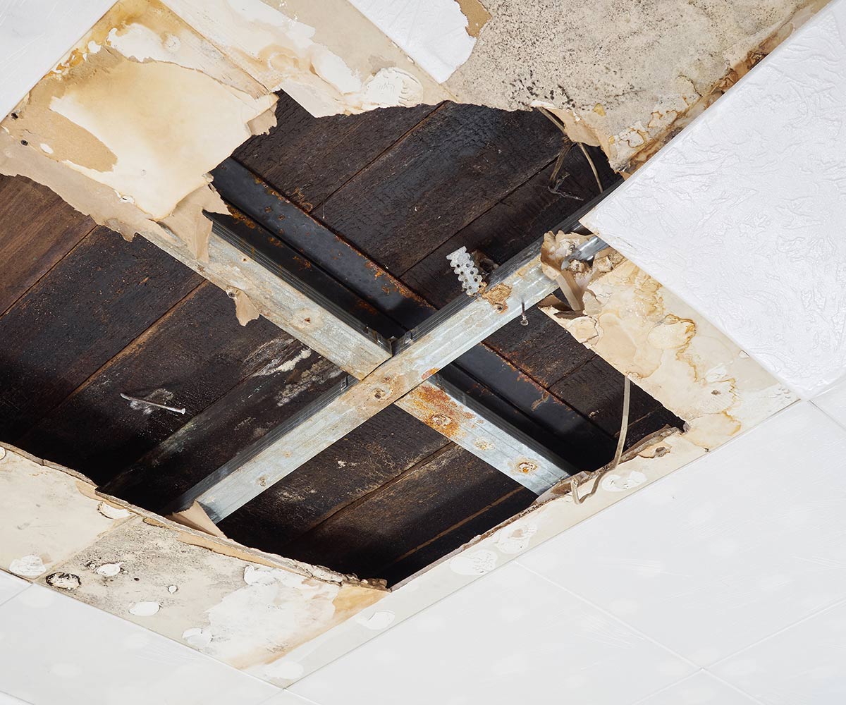 premium-public-adjusters-water Water Damage